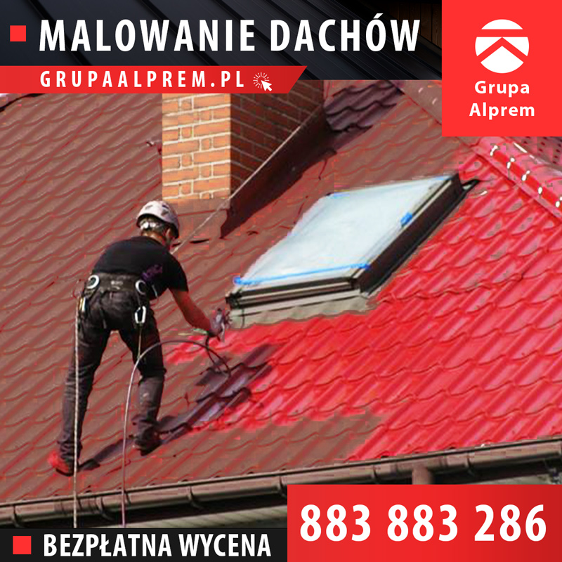 Malowanie dachów Kielce, świętokrzyskie, firma, alpiniści